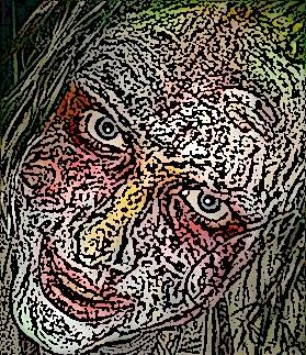 J.C. Ma�ek III... 

Video Nasty Critic!